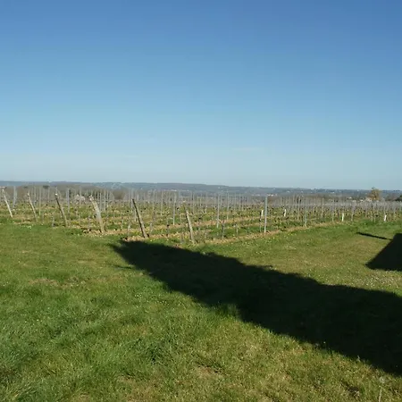 Le Vircoulon Bed & Breakfast Saint-Avit-de-Soulege